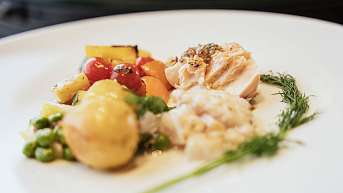 2023 07 05 breitenmoser 0220 v2